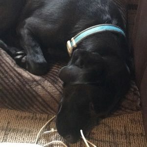 Meet your Posher, Blake